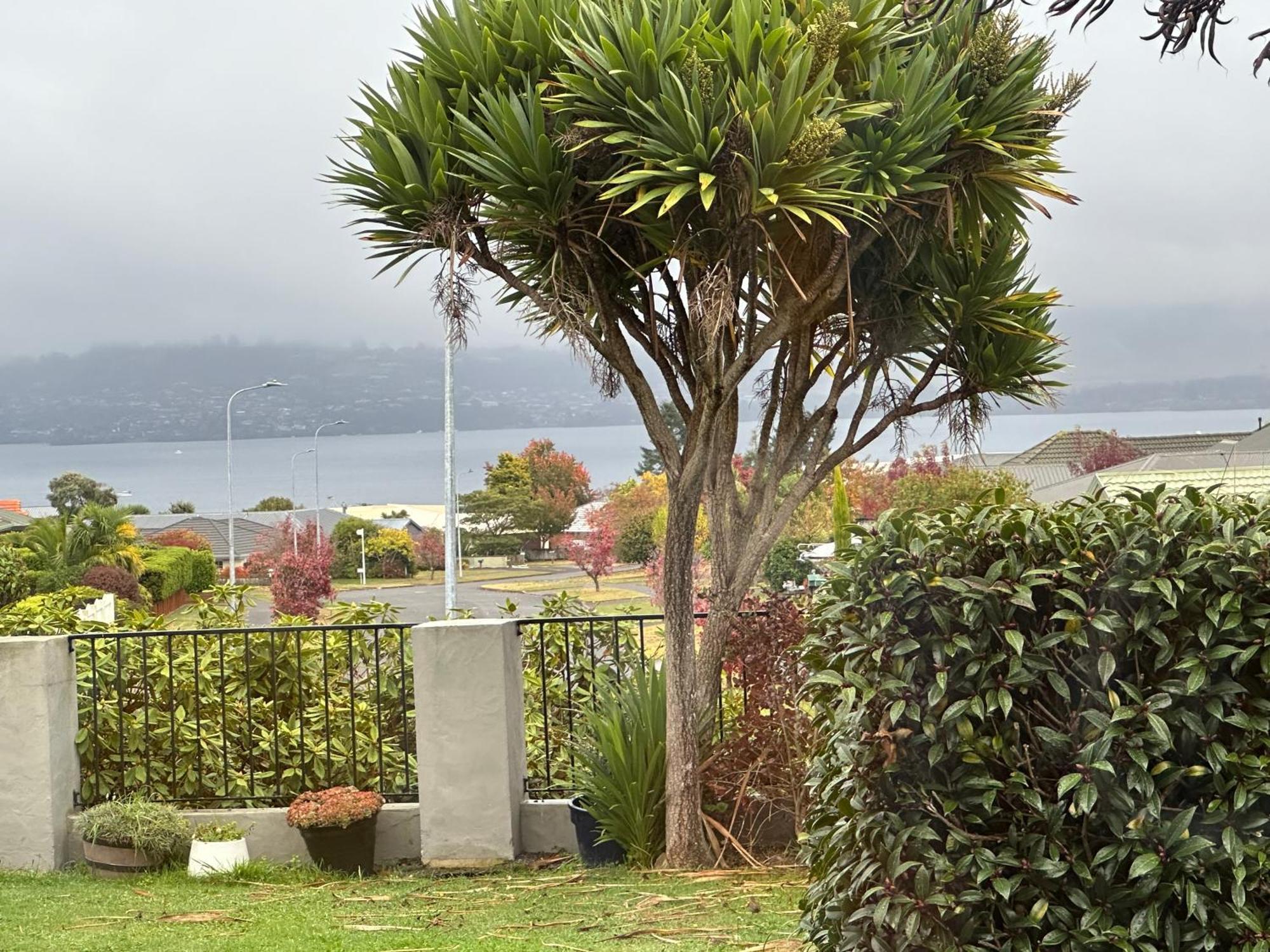 Lakeview Holiday Hideaway Taupo Exterior foto