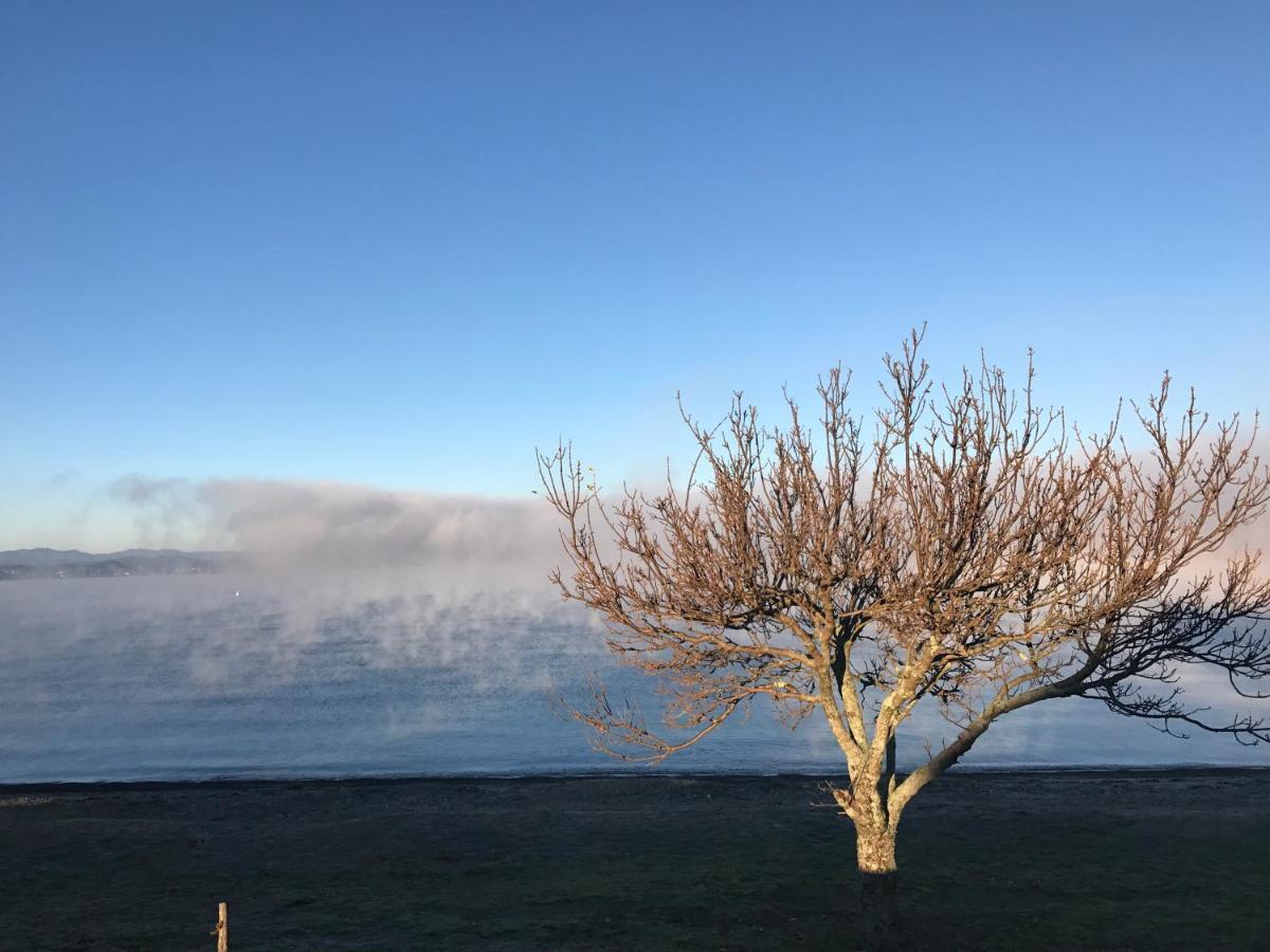 Lakeview Holiday Hideaway Taupo Exterior foto